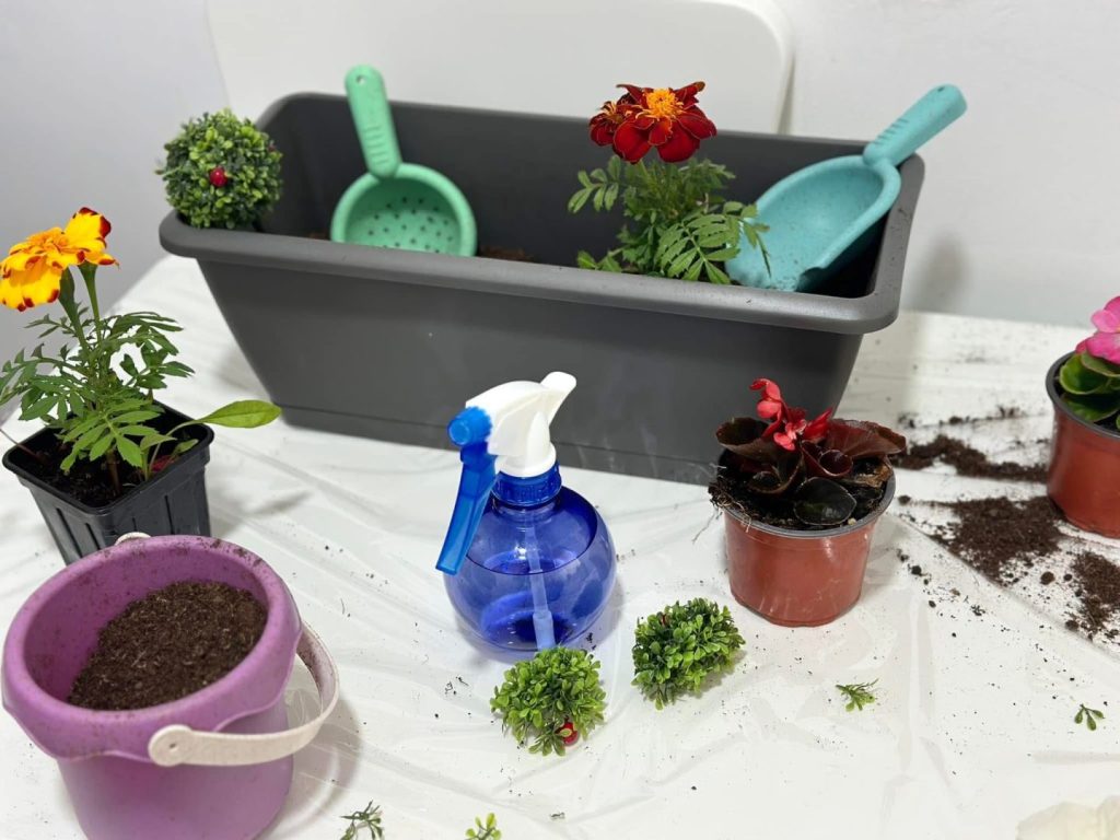 Asociația Psiho Special — echipa Karla Ana Maria Grigore și Marius Cătălin Grigore 9 Asociația Psiho Special — echipa Karla Ana Maria Grigore și Marius Cătălin Grigore